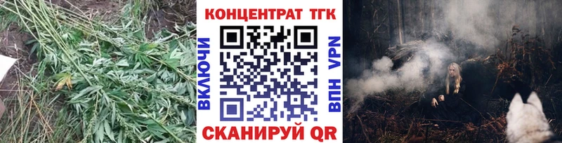 Купить где  Тюмень  Дистиллят ТГК гашишное масло 