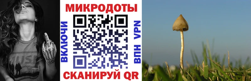 Купить где  Тюмень  Галлюциногенные грибы мицелий 