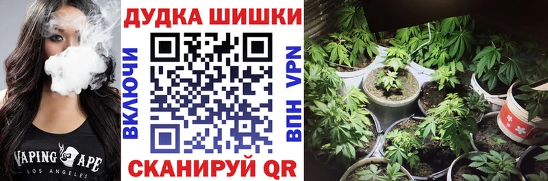 Канабис Bruce Banner  Купить  Тюмень 